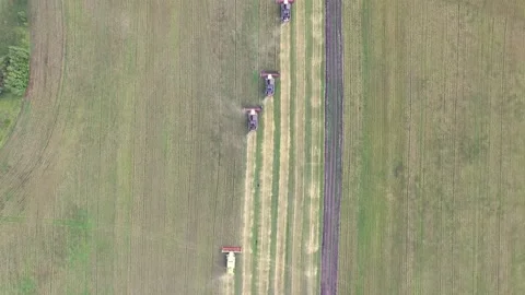 Harvester working in the field, mowing the grass Stock Footage 138596118