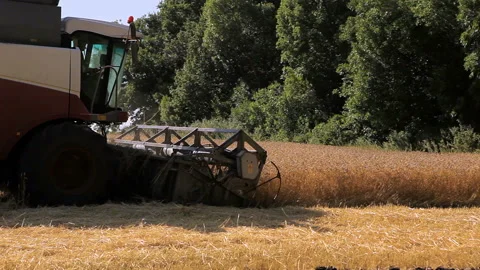 Harvester working on field. Side view. Stock Footage 102169591