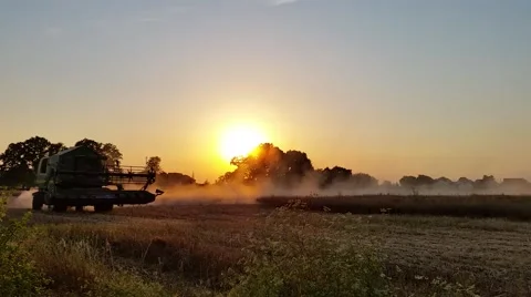 Harvester Working in Field at Sunset Stock Footage 52124125