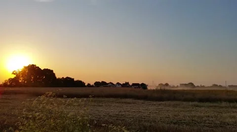 Harvester Working in Field - Time lapse Stock Footage 52123993