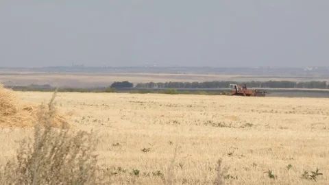 Harvester working Stock Footage 114762384