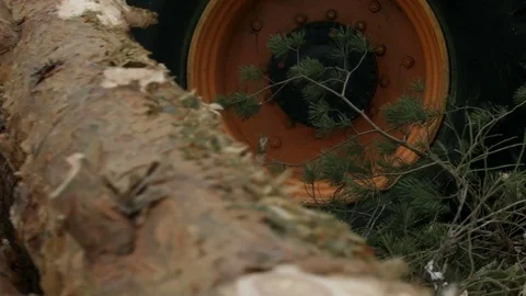 The harvester working in a forest. Closeup with shallow DOF. Stock Footage 69968338