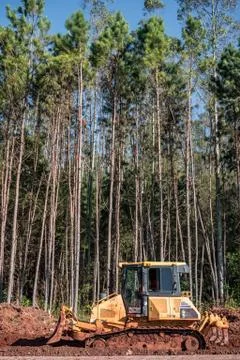 Harvester working in a forest. Stock Photos