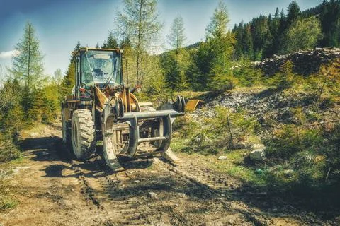The harvester working in a forest. Foto stock