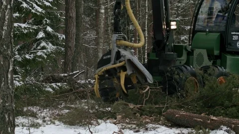 Harvester working in the forest in winter Stock Footage 70080263