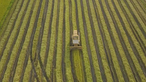 Harvester Working Last Round Video stock 104382674