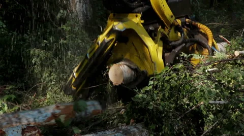 Harvester working in middle of a forest Stock Footage 59570789