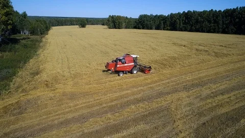Harvester Working on the Oat Field Stock-Footage 100264208