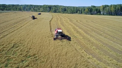 Harvester Working on the Oat Field Stock Footage 100496037
