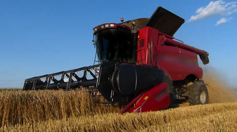 Harvester working on a wheat field Stock Footage 36015587