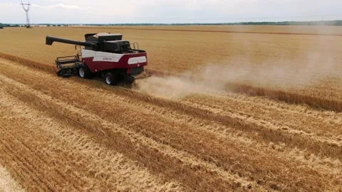 Harvester working in a wheat field Stock Footage 139086570