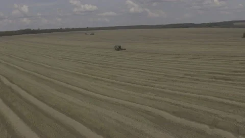 A harvester works in fields. Harvesting. Stock Footage 201611168