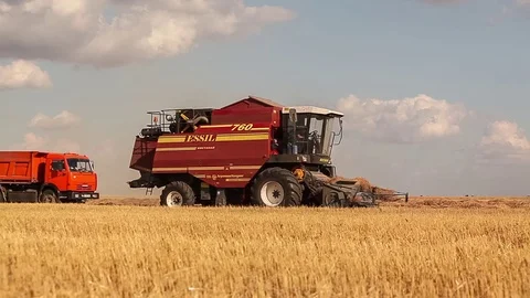 Harvesters and tractor working in the fields. Wheat Stock Footage 73016789