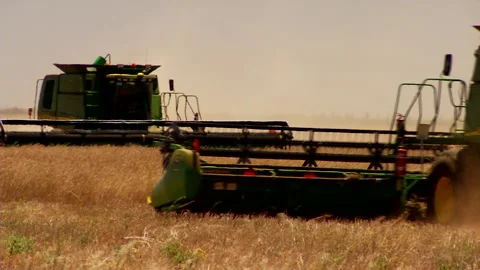 Harvesters cropping wheat in paddock Stock Footage 170284546
