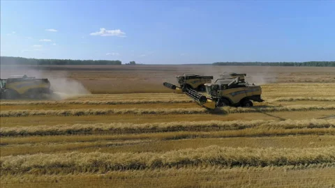 Harvesters on the field Stock Footage 93144106