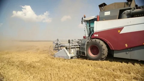 Harvesters go on the field with the wheat Stock Footage 73945966