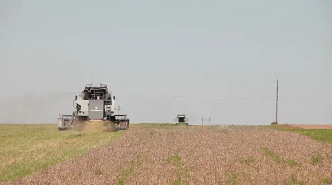 Harvesters harvest Stock Footage 53242435