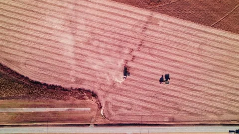 Harvesters kicking up dust while processing soybean crops. Video stock 256289794