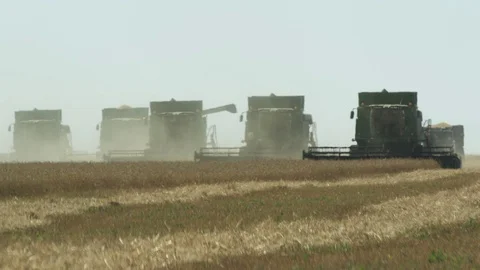 Harvesters in line Stock Footage 73091144