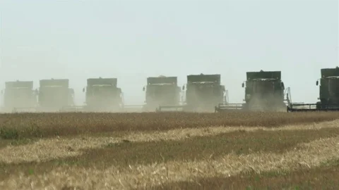 Harvesters move simultaneously on the horizon Stock Footage 73087765