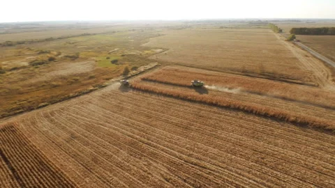Harvesters work on cornfield Stock-Footage 100660967