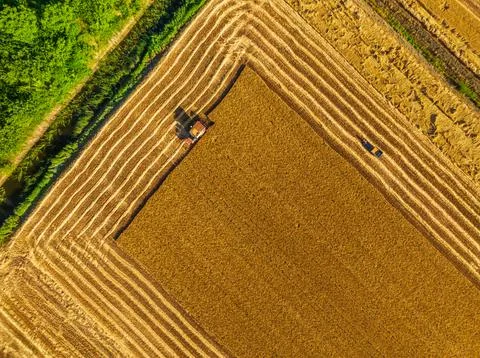 Harvesters work on the farm. Stock Photos