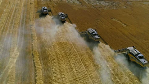 Harvesters work on the field 스톡 동영상 93143941