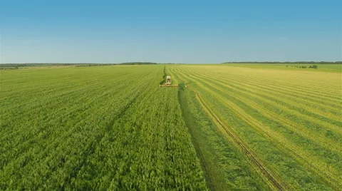 Harvesters Work on Green Field Stock Footage 64737492