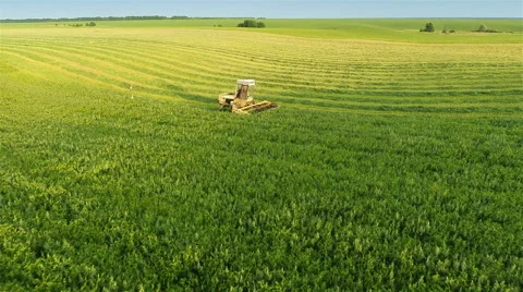 Harvesters Work on Green Field 스톡 동영상 64737612