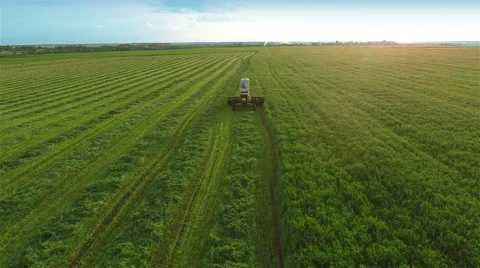 Harvesters Work on Green Field 스톡 동영상 64737715