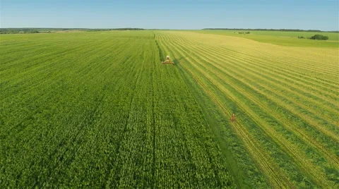 Harvesters Work on Green Field Stock-Footage 64737746