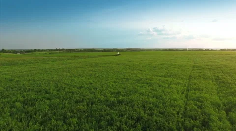 Harvesters Work on Green Field 動画素材 64737824