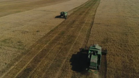 Harvesters working in the field Stock Footage 94773129