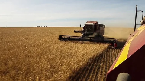 Harvesters working in the fields. Wheat field. View from a neighboring havester Stock Footage 73079944