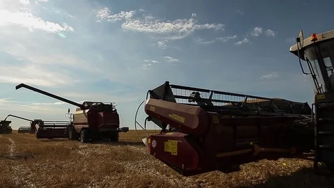 Harvesters working in the fields. Wheat Stock Footage 73073794
