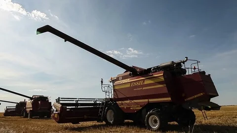 Harvesters working in the fields. Wheat Stock Footage 73073926