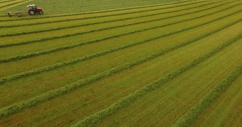 Harvesting 2 Stock Footage 122170092