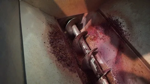 Harvesting and processing of grapes Stock Footage 112195803