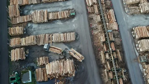 Harvesting and Processing Timber: Aerial... | Stock Video | Pond5