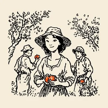 Harvesting apple Stock Illustration