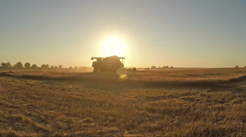 Harvesting Barley In August Stock Footage 52996751