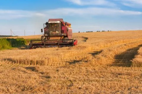 Harvesting barley in August Stock Photos