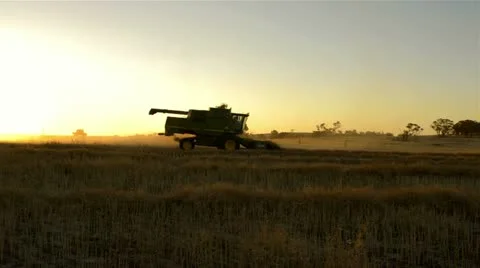 Harvesting a canola crop at sunset on a farm in Australia Stock Footage