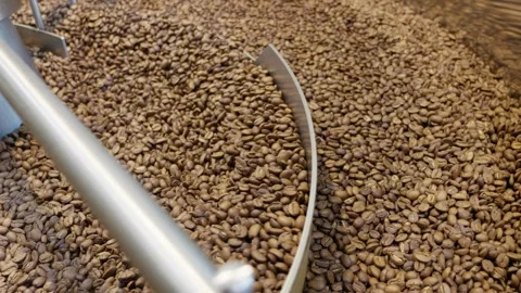 Harvesting coffee beans processing facility coffee production industrial Stock Footage 303408110