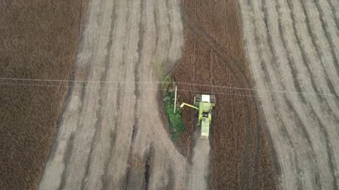 Harvesting with a combine Stock Footage 161947885