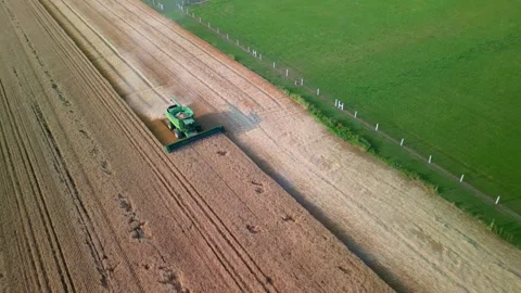 Harvesting with a combine Stock-Footage 278012681