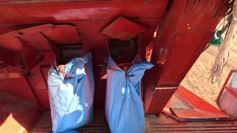 Harvesting combine machine Stock Footage 243863546