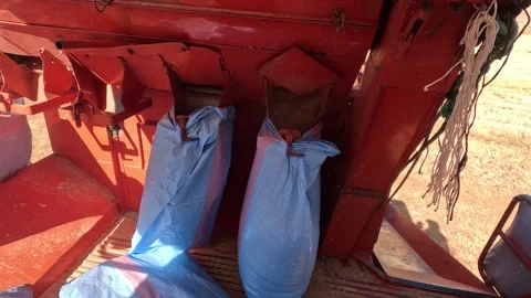 Harvesting combine machine 動画素材 243868600