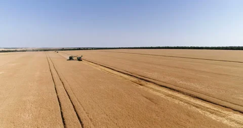 Harvesting by combines 11 Stock Footage 106114635