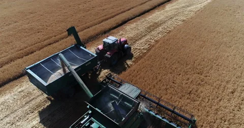 Harvesting by combines 12 Stock Footage 106114904
